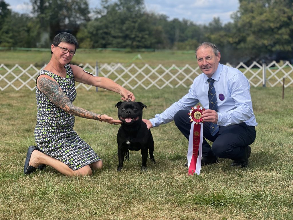Felix takes Best of Breed at The Classic, Manito 2025